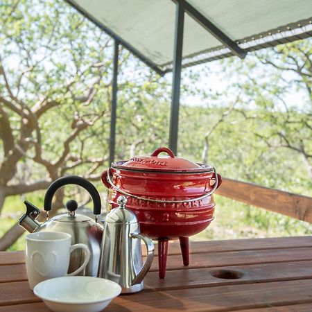 Etosha Safari Camping2Go オカウクエジョ 部屋 写真