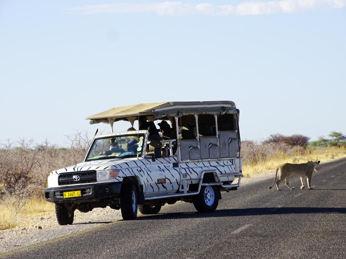 Etosha Safari Camping2Go オカウクエジョ エクステリア 写真