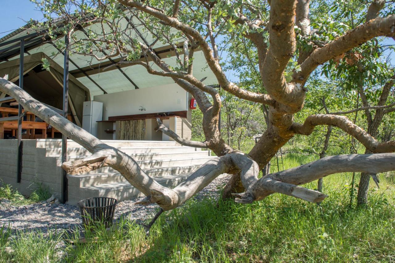 Etosha Safari Camping2Go オカウクエジョ エクステリア 写真